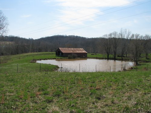 Property photo 18 - 137 Acres in 2 Tracts - 64 Tillable Acres, Potential Building Sites, Hunting